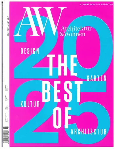 pub.399.aw_doepel_strijkers_celest_cover.webp